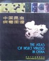 (image for) The Atlas of Insect Virues in China
