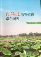 (image for) Atlas of Higher Plants of Baiyangdian