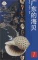 (image for) Guangdong De Haibei (Vol.1)(Seashells of Guangdong)