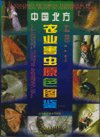 (image for) A Colored Pictorial Handbook of Agricultural Pests in Northern China - Click Image to Close