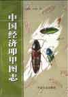 (image for) Economic Click Beetle Fauna of China( Coleoptera: Elateridae)