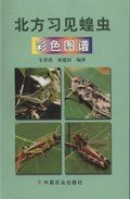 (image for) Colour Atlas of Common Species of Grasshoppers and Locusts from North China - Click Image to Close