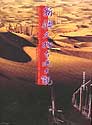 (image for) A Grand View of Xinjiang's Cultural Relics and Historic Sites - Click Image to Close